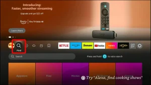 roku premiere